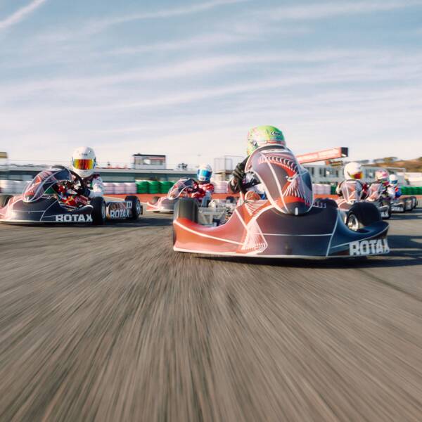 Rotax Karts