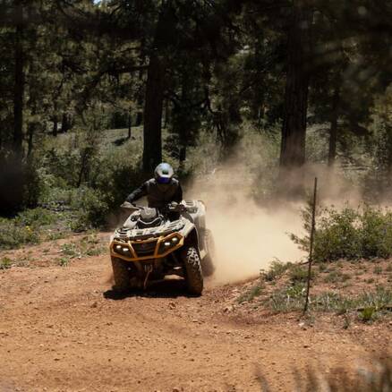 Can-AM ATV fahrend im Wald