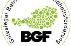 Auszeichnung Betriebliche Gesundheitsförderung 2021-2023